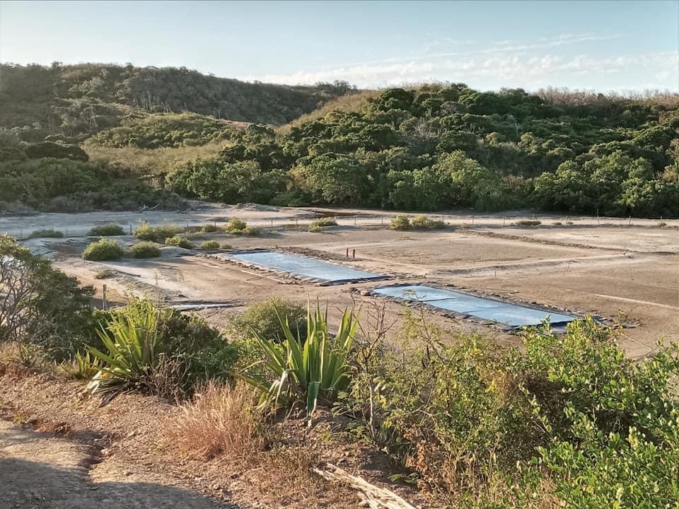 1 Ko bassins secs Marais salants de Kô - bassins sec - Néoli