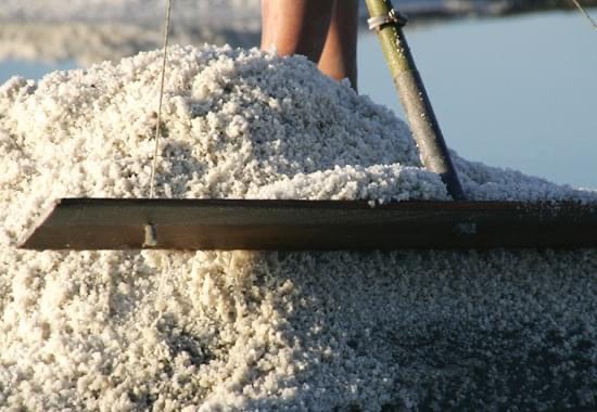 4 Ko recolte gros sel Marais salants de Kô - Photo de la récolte du gros sel - Néoli