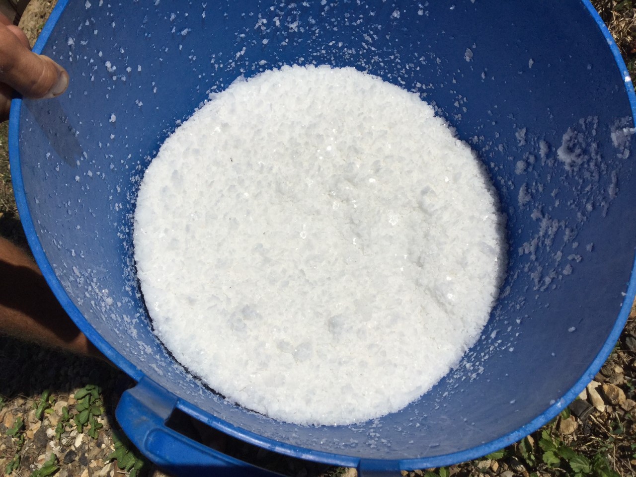 8 Ko fleur de sel 2 Photo de fleur de sel récoltée aux marais salants de Kô - Néoli