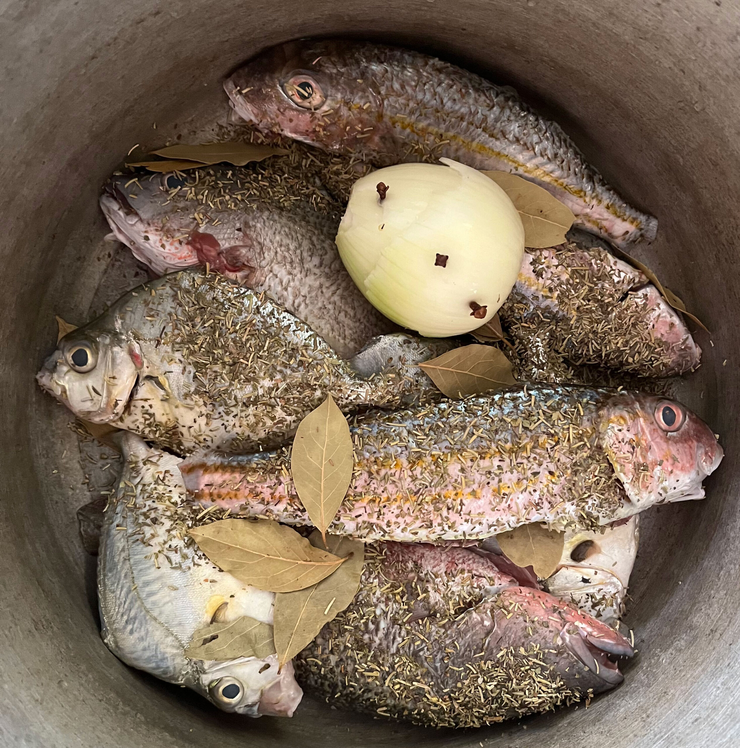 Photo de poissons pour la recette de soupe de poisson de Néoli © Néoli