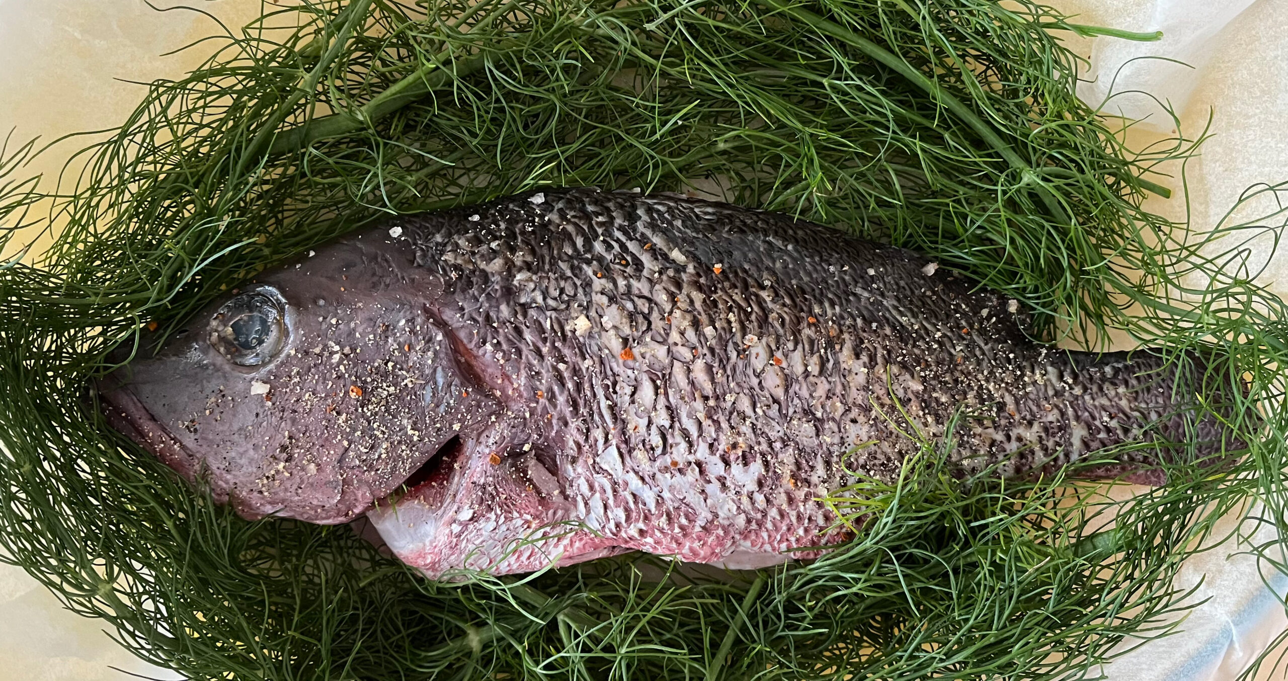 Photo de salade de poisson © Néoli