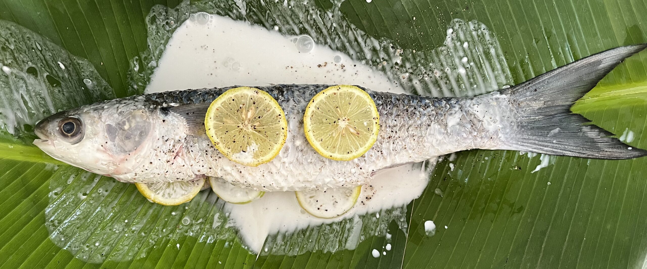 Photo de salade de poisson © Néoli